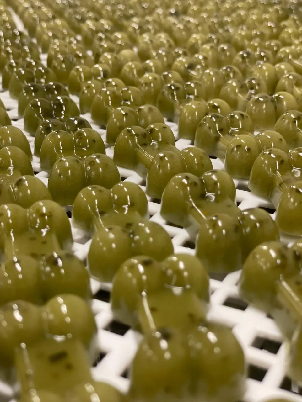 Smoofl bone broth gummies dog treats
