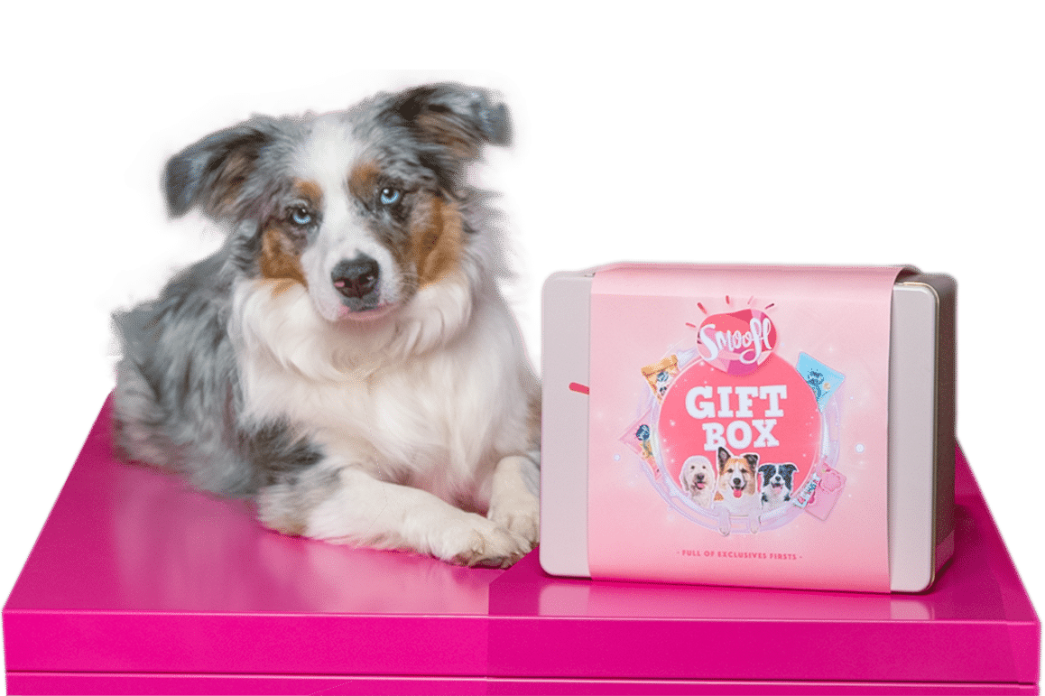 Woman holding the new Smoofl Gift box and dog looking at it